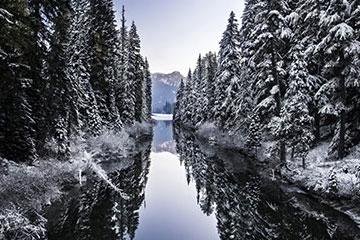 白雪覆盖的树木衬着水体，背景是一座山