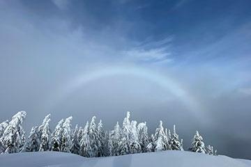 冰冻的树木和雪景上的彩虹