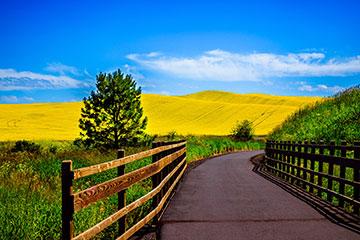田野里有一条用篱笆围起来的小路，远处有蓝天和小山