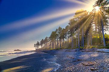 阳光透过海滩旁的树林隐约可见